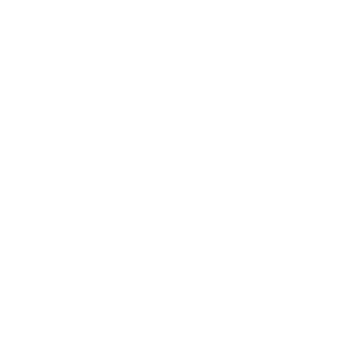 Customized Carpet Options