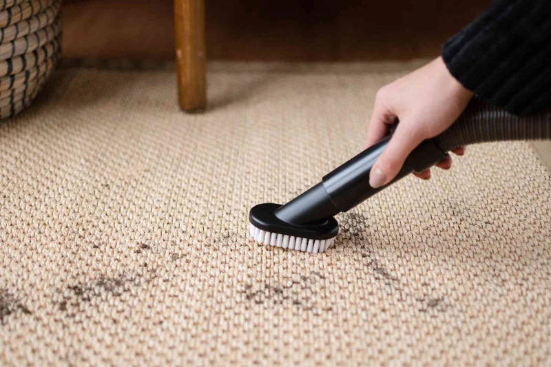 Maintenance of Sisal and Jute Rugs