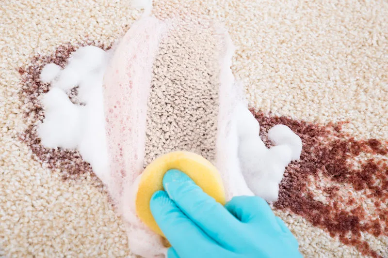 Spot Cleaning & Dealing with Stains