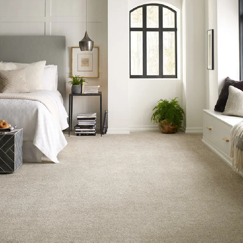 Living room Wall to wall Carpet